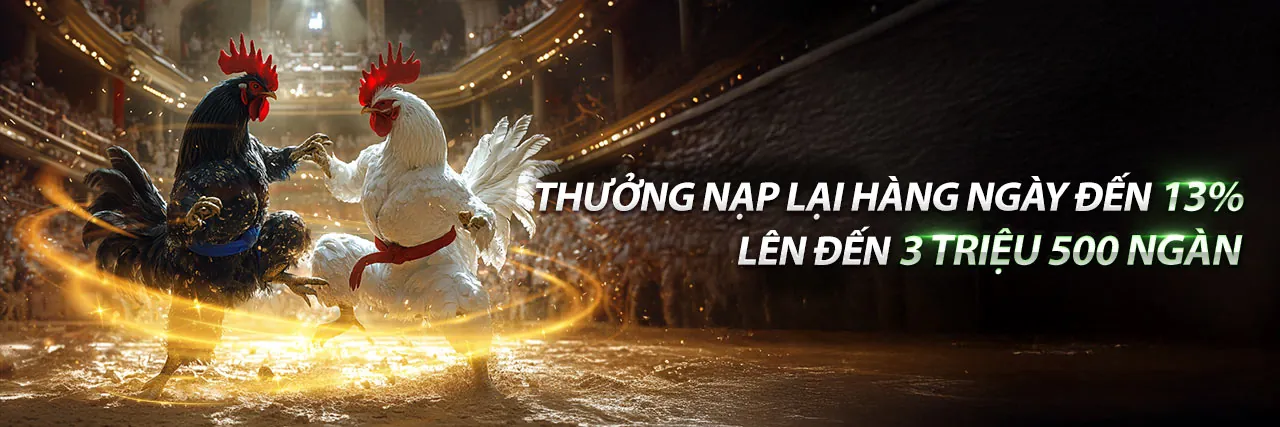 Đấu trường đá gà trực tuyến sôi động tại huebet 22